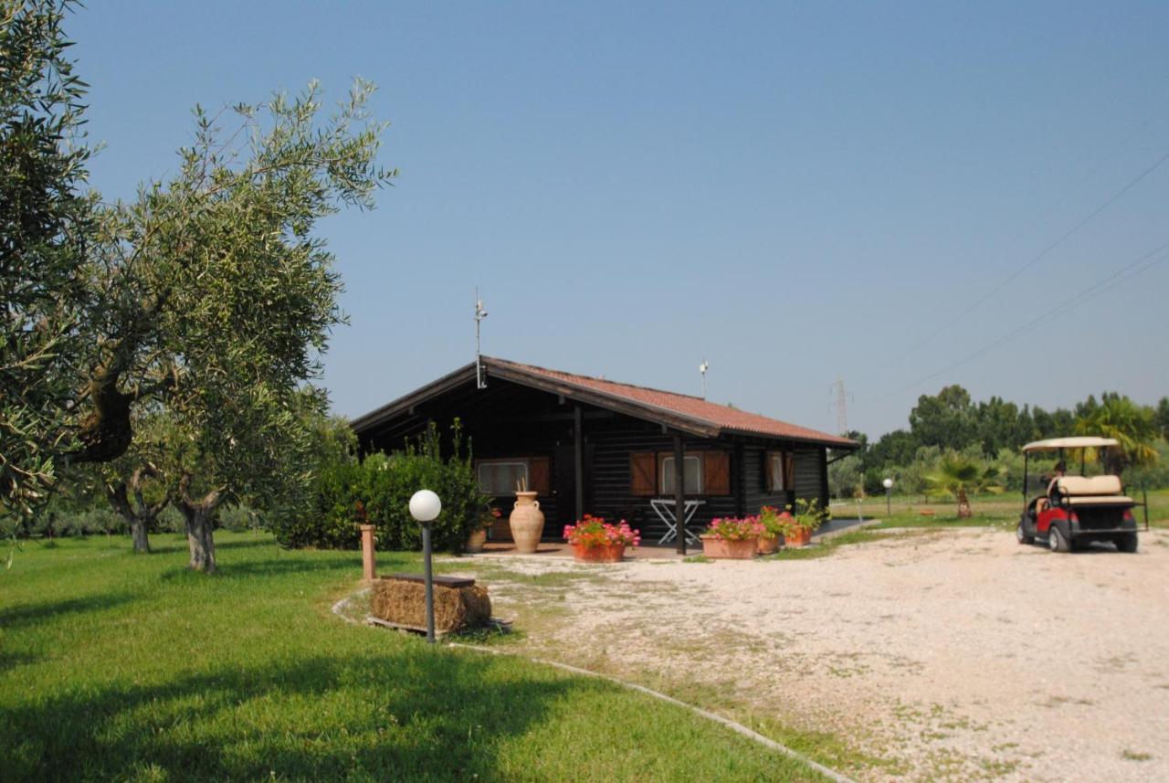 Villa Primavera Latina Esterno foto